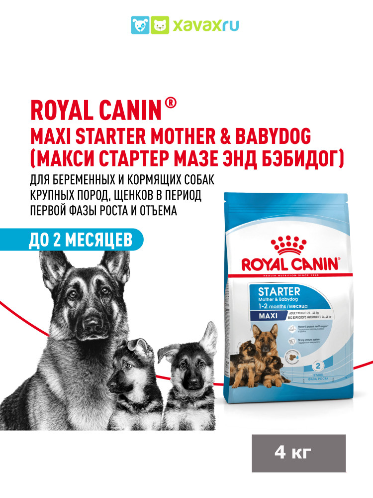 Сухой корм Royal Canin Maxi Starter для щенков крупных размеров до 2-х месяцев, беременных и кормящих сук