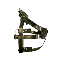 Зооэкспресс шлейка брезентовая 36 мм до 115 см