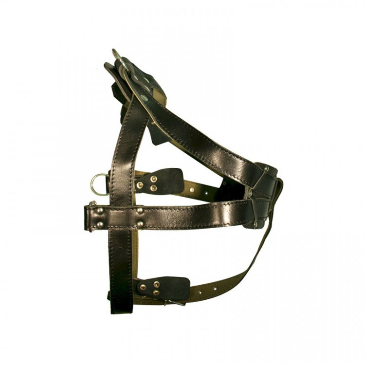 Зооэкспресс шлейка брезентовая 36 мм до 115 см