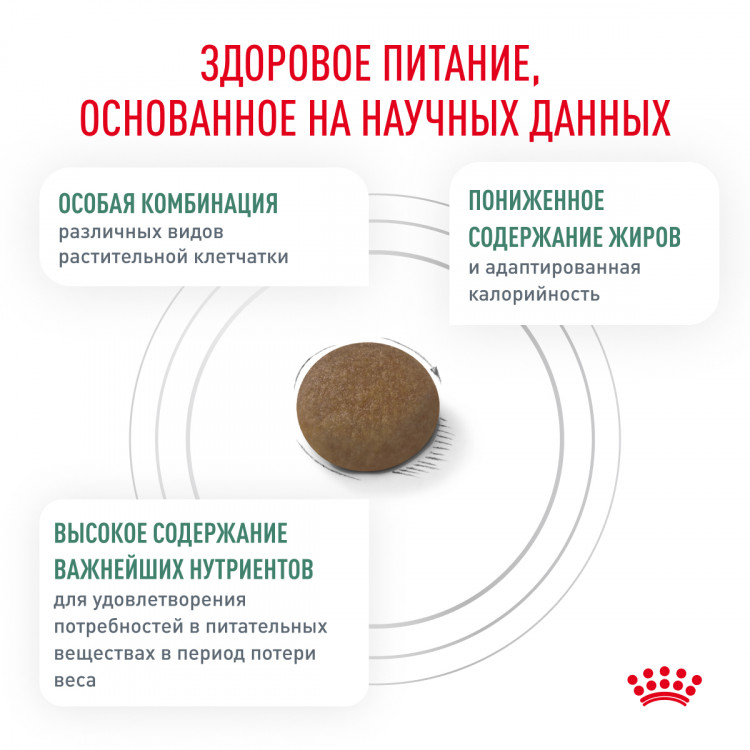 Сухой корм Royal Canin SATIETY WEIGHT MANAGEMENT для взрослых кошек, рекомендуемый для снижения веса