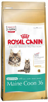Royal Canin &quot;Kitten Мaine Coon 36&quot;