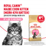 Сухой корм Royal Canin Maine Coon Kitten сбалансированный для котят породы Мэйн Кун