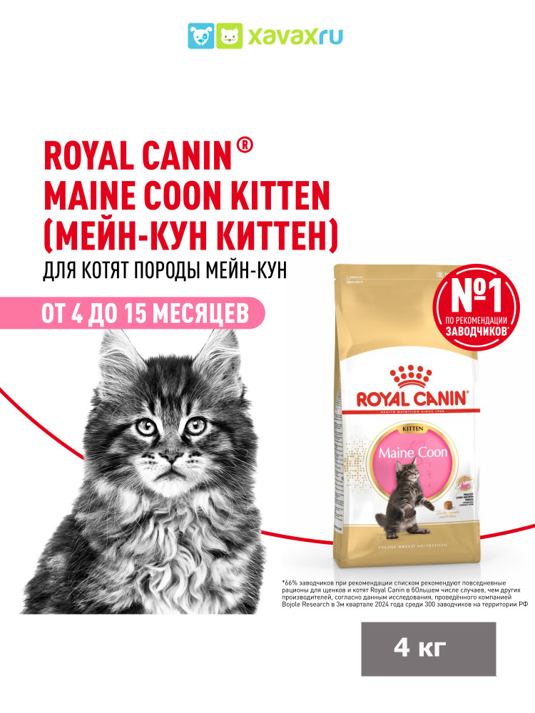 Сухой корм Royal Canin Maine Coon Kitten сбалансированный для котят породы Мэйн Кун