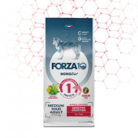 Forza10 MonoDiet Sensitive Digestion Medium &amp; Large Adult сухой корм для взрослых собак средних и крупных пород при чувствительном пищеварении с рыбой