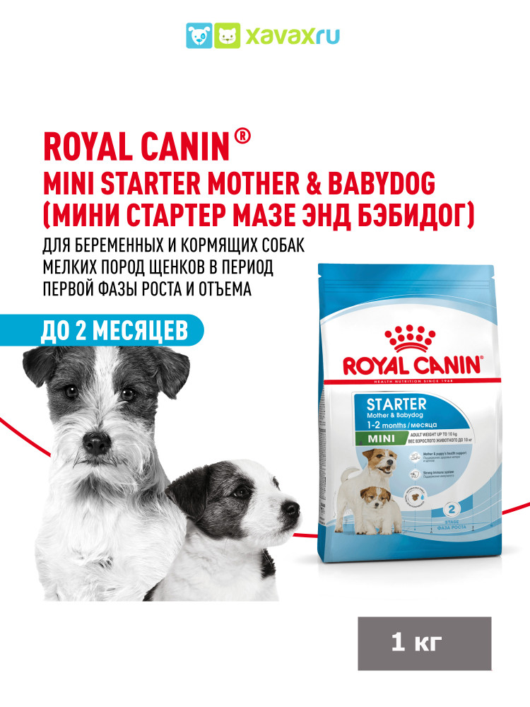 Сухой корм Royal Canin Mini Starter для щенков мелких размеров до 2-х месяцев, беременных и кормящих сук