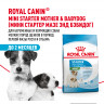 Сухой корм Royal Canin Mini Starter для щенков мелких размеров до 2-х месяцев, беременных и кормящих сук