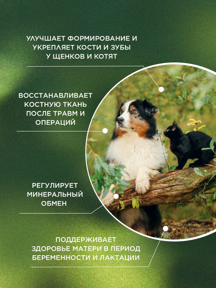 ProPhyto Остеоплюс