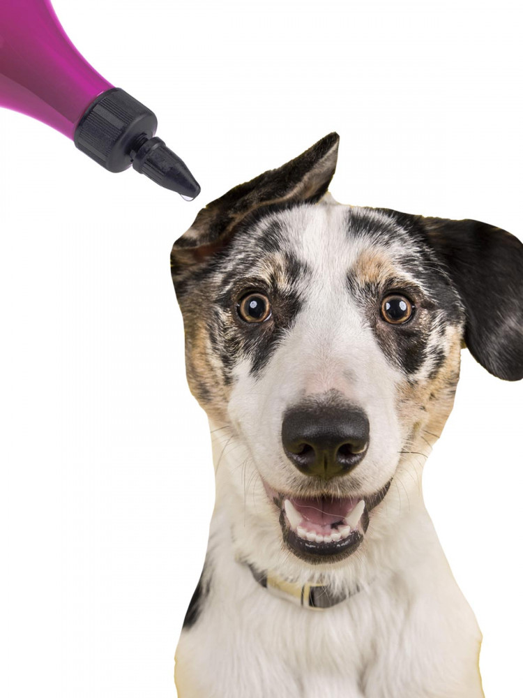 Iv San Bernard Traditional Line Clean Ear Лосьон для чистки ушей для собак и кошек