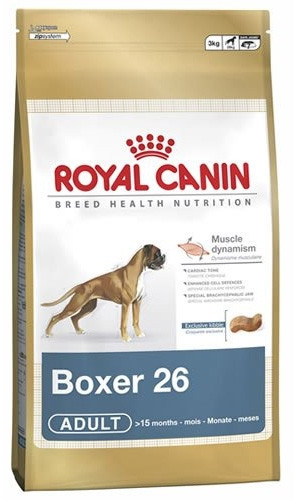 boxer-26.jpg