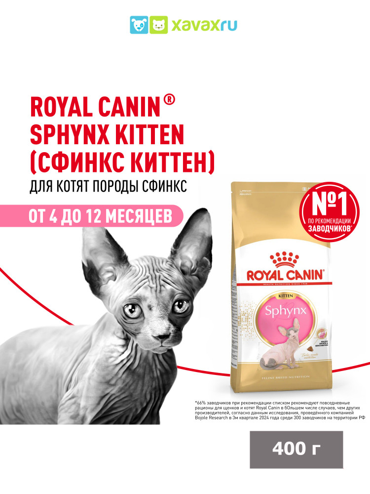 Сухой корм Royal Canin Sphynx Kitten для котят породы Сфинкс до 12 месяцев