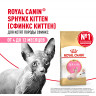 Сухой корм Royal Canin Sphynx Kitten для котят породы Сфинкс до 12 месяцев