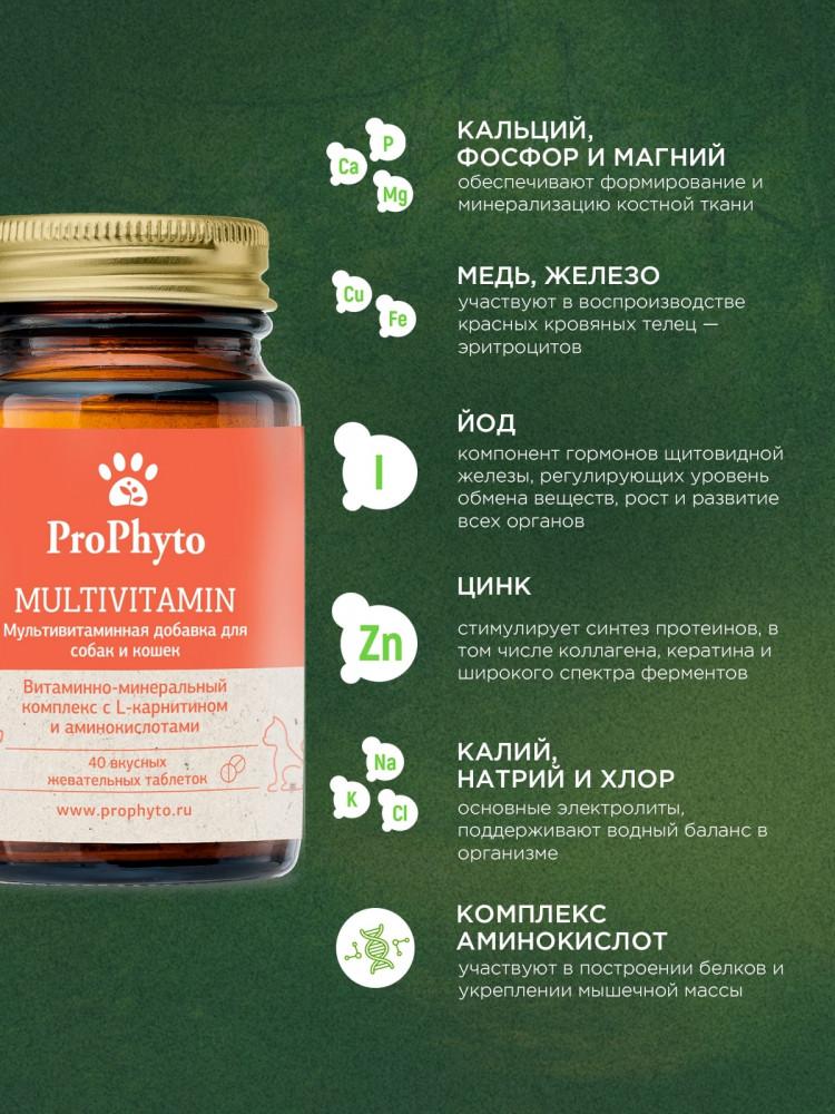  ProPhyto Мультивитамин