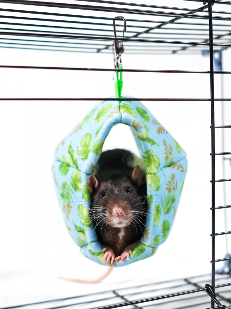 Гамак подвесной из фетра Bambini Pets 