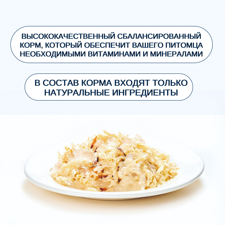 Влажный корм Wanpy Cat, консервы для кошек