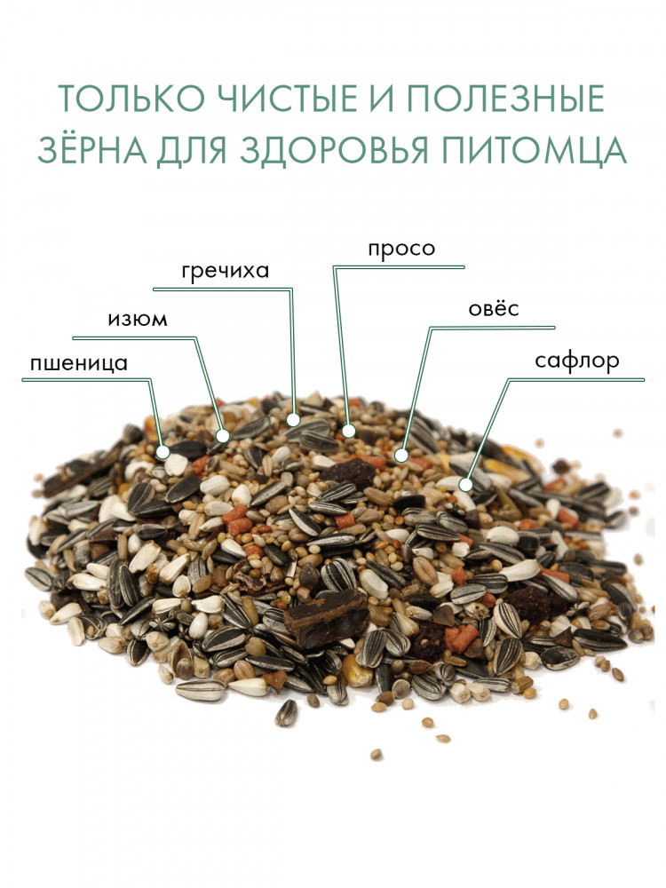 FIORY корм для средних попугаев Parrocchetti African