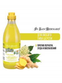 Шампунь для собак и кошек Iv San Bernard Fruit of the Groomer Ginger&amp;Elderbery для любого типа шерсти против раздражений и перхоти