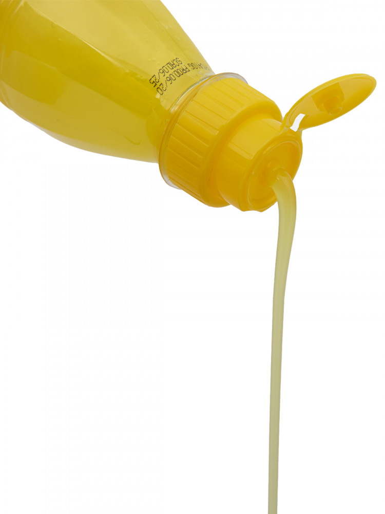 Шампунь для собак и кошек Iv San Bernard Fruit of the Groomer Ginger&Elderbery для любого типа шерсти против раздражений и перхоти