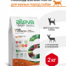 Alleva Holistic Adult Lamb & Venison Mini сухой корм для взрослых собак с ягненком и олениной, коноплей и женьшенем