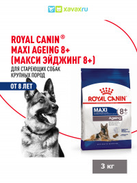 Сухой корм Royal Canin Maxi Ageing 8+ для стареющих собак крупных размеров от 8 лет и старше