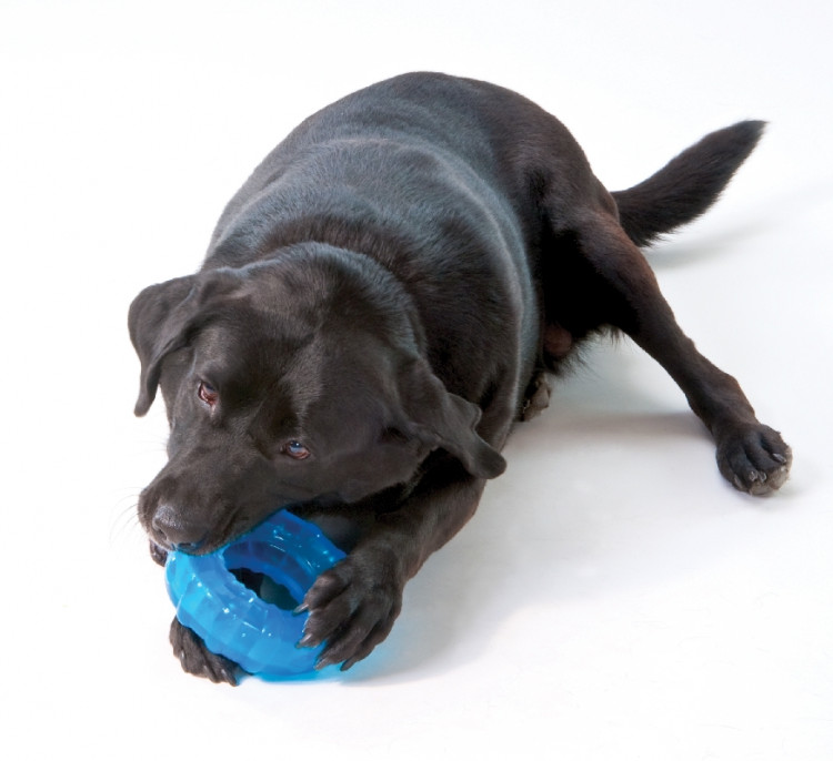 Petstages Игрушка для собак