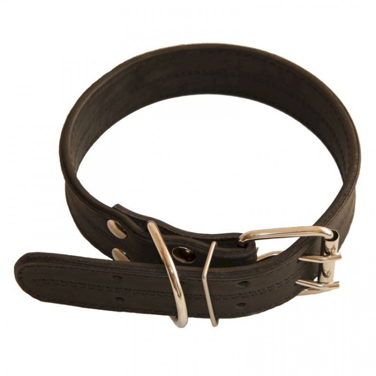 Зооэкспресс ошейник 2 слоя (кольцо перед пряжкой) черный