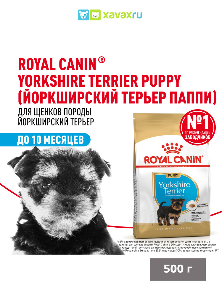 Сухой корм Royal Canin Yorkshire Terrier Puppy для щенков породы Йоркширский Терьер до 10 месяцев