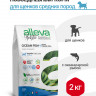 Alleva Holistic Puppy/Junior Ocean Fish Medium сухой корм для щенков средних пород с океанической рыбой, коноплей и алое вера