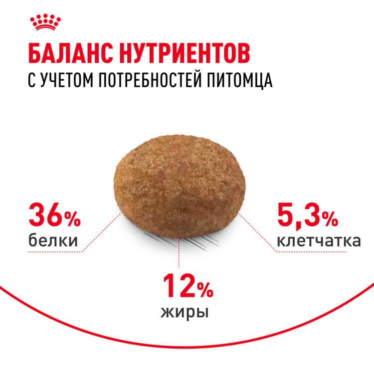 Сухой корм Royal Canin Sterilised 7+ для стерилизованных кошек в возрасте 7-12 лет