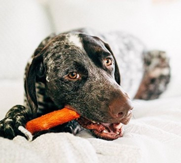 PetStages Игрушка для собак Mesquite Dogwood с ароматом барбекю 18 см средняя