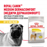 Сухой корм Royal Canin Medium Dermacomfort для взрослых собак средних размеров при раздражениях и зуде кожи