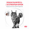 Сухой корм Royal Canin Hepatic для кошек для поддержания функции печени