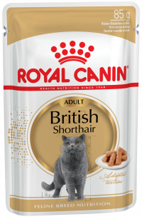 Royal Canin BRITISH SHORTHAIR ADULT (В СОУСЕ) Влажный корм для британских короткошерстных кошек старше 12 месяцев