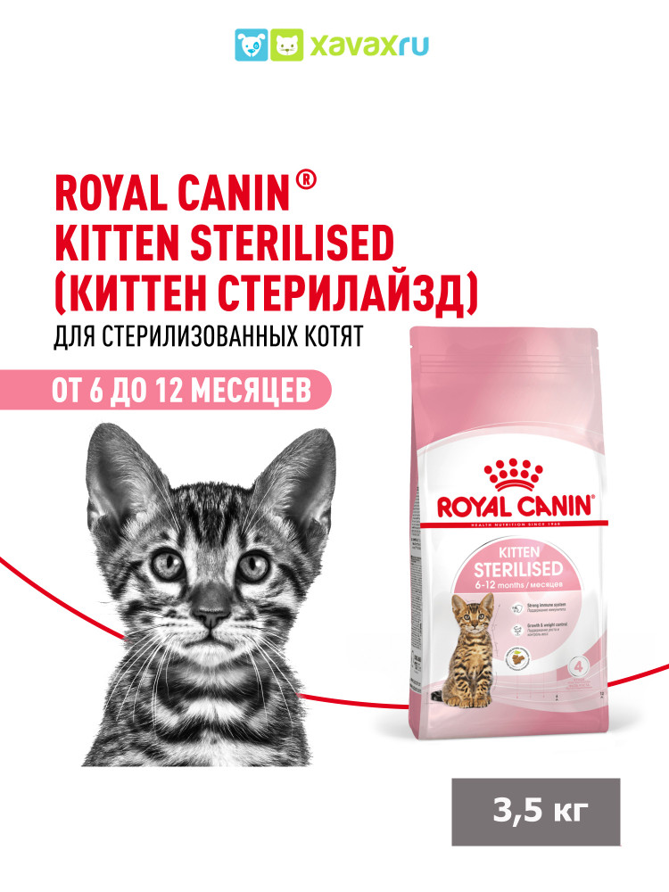 Сухой корм Royal Canin Kitten Sterilised для стерилизованных котят до 12 месяцев