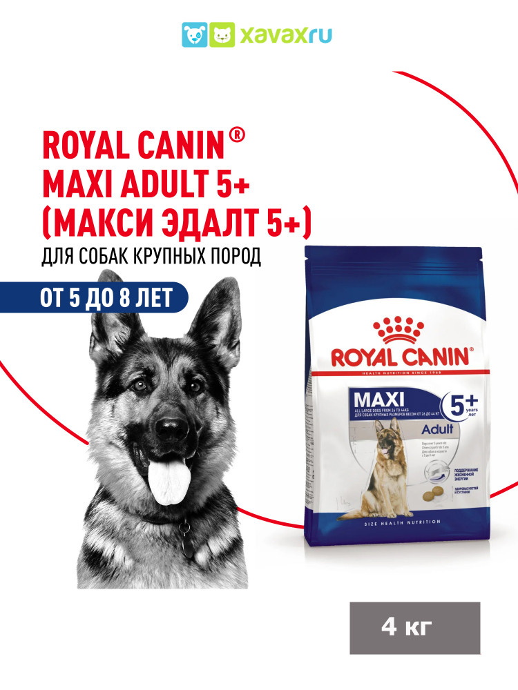 Сухой корм Royal Canin Maxi Adult для взрослых собак крупных размеров от 5 лет до 8 лет