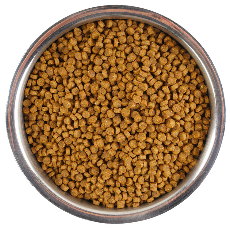 Сухой корм Monge Cat Speciality Line Monoprotein для котят и беременных кошек, из говядины