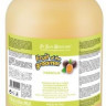  Шампунь для собак и кошек Iv San Bernard Fruit of the Groomer Maracuja для длинной шерсти с протеинами