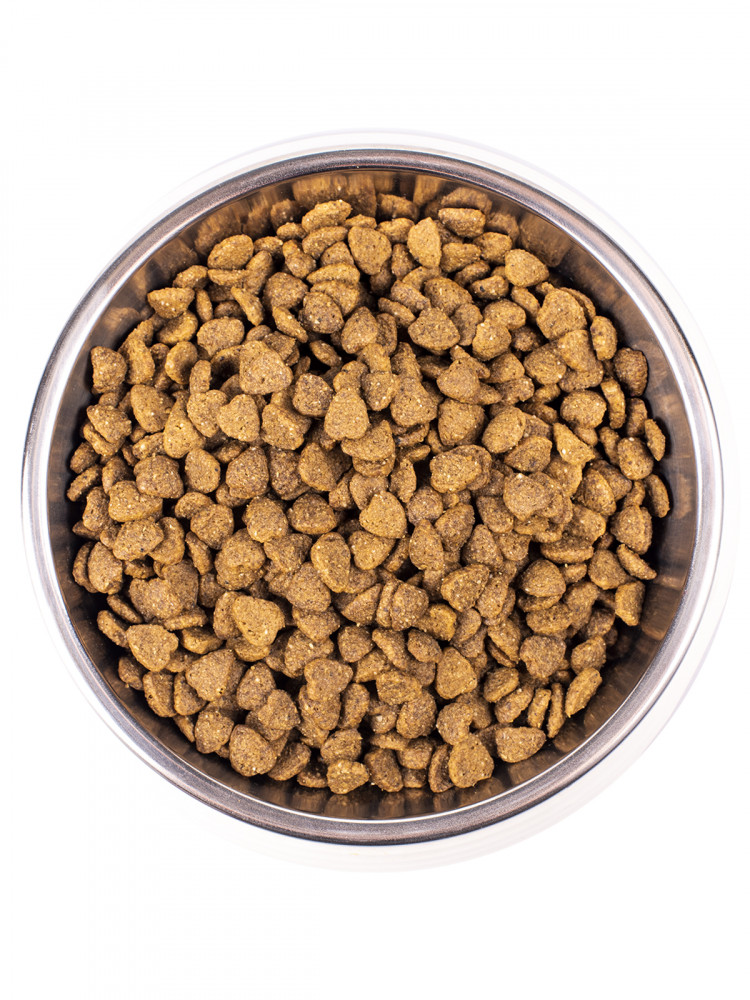 Сухой корм Monge Cat Daily Line Indoor для кошек, живущих в помещении, из курицы