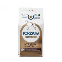 Forza10 Active Intestinal Colon Fase 1 сухой корм для взрослых собак с хроническими колитами с рыбой