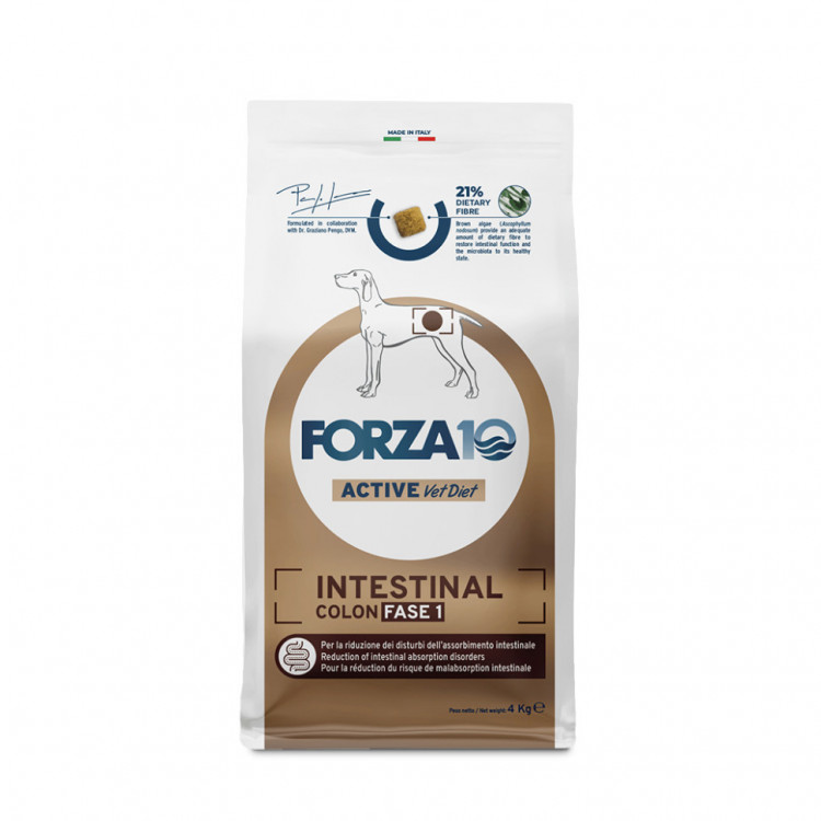 Forza10 Active Intestinal Colon Fase 1 сухой корм для взрослых собак с хроническими колитами с рыбой