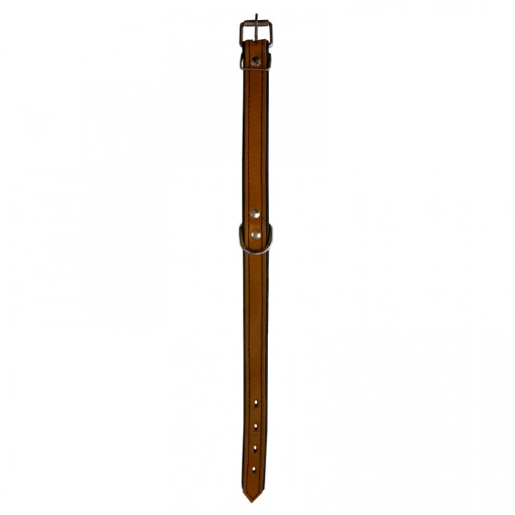 Зооэкспресс ошейник HIGHT LINE без украшений рыжий