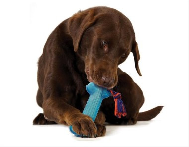 PetStages Игрушка для собак