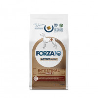 Forza10 Active Intestinal Colon Fase 2 сухой корм для взрослых собак с хроническими колитами с рыбой