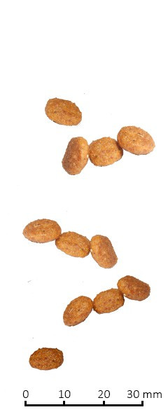 Farmina Vet Life Cat Hepatic для кошек, поддержание работы печени при хронической печеночной недостаточности