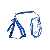 Зооэкспресс комплект капроновый (поводок + шлейка 65 см) синий