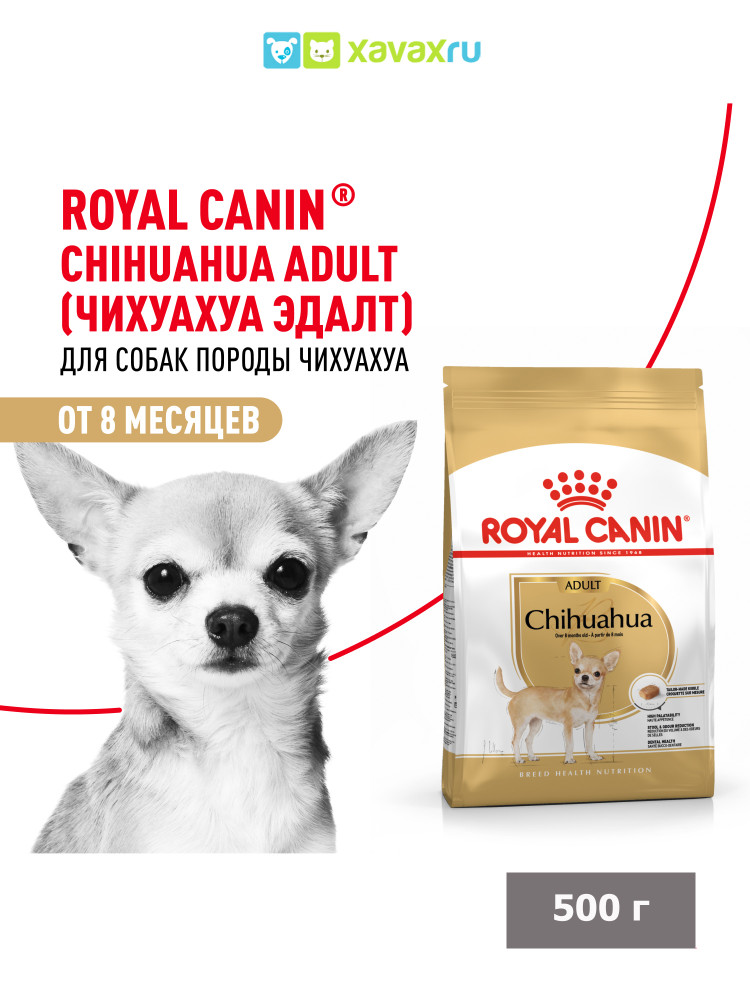 Сухой корм Royal Canin Chihuahua Adult для взрослых собак породы Чихуахуа от 8 месяцев