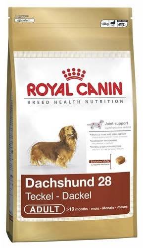Dachshund vitamins shop