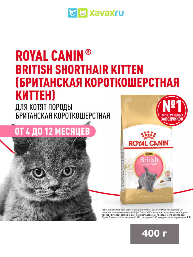 Сухой корм Royal Canin British Shorthair Kitten для британских короткошерстных котят