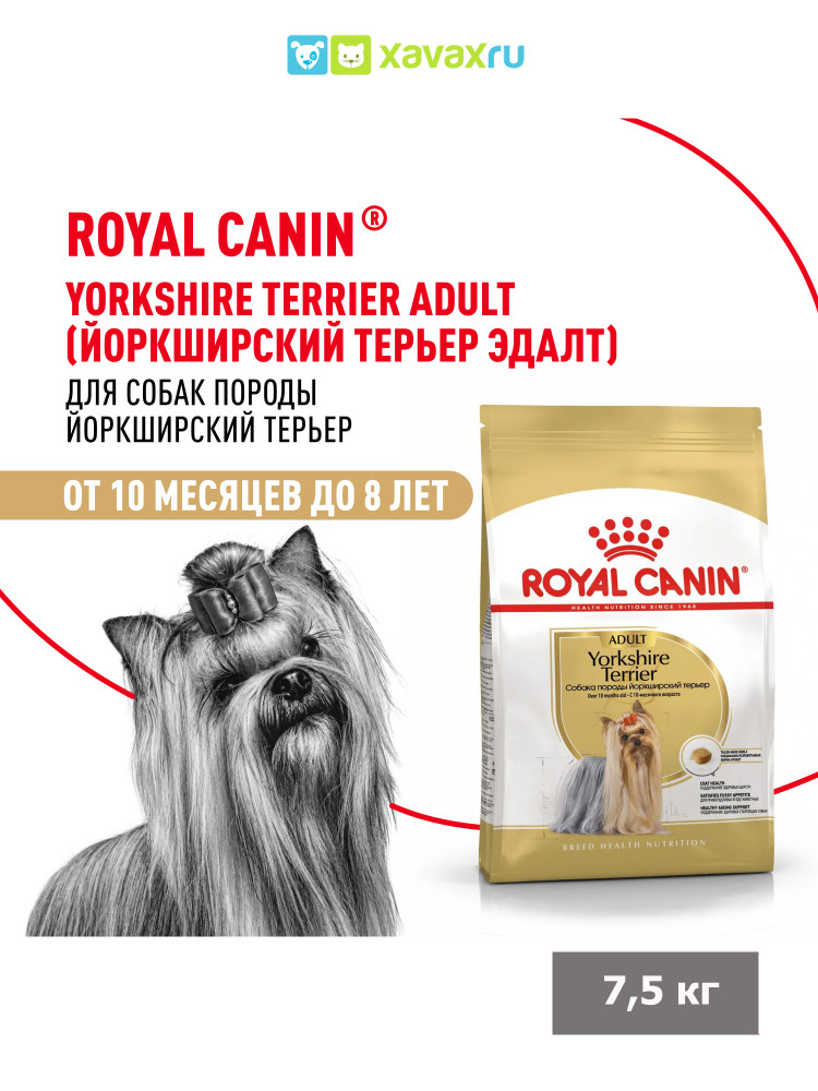 Сухой корм Royal Canin Yorkshire Terrier Adult для взрослых собак породы Йоркширский Терьер от 10 месяцев