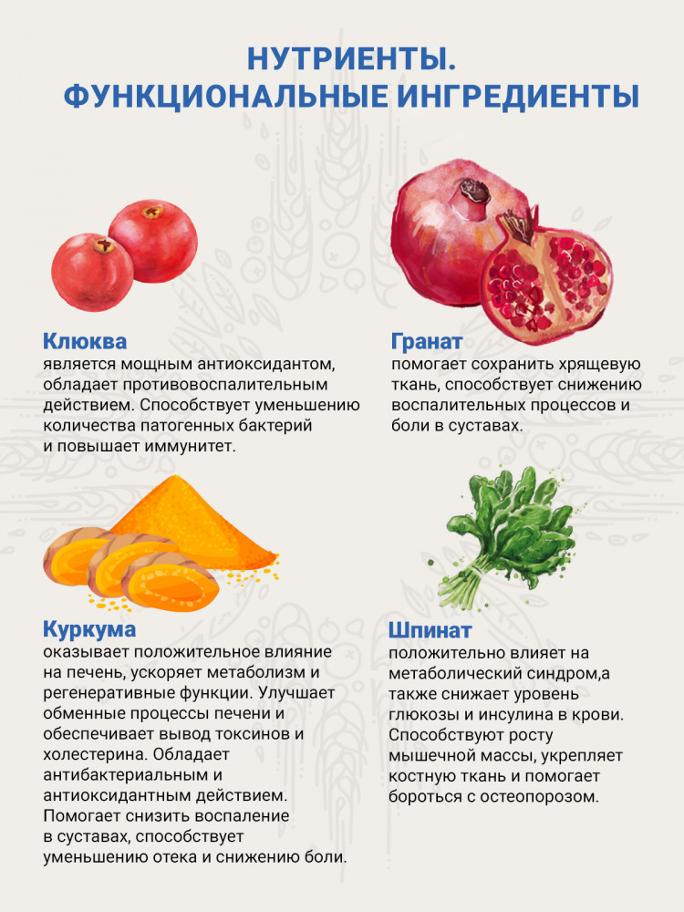 Сухой корм CRAFTIA GALENA DOG JOINT & MOBILITY CARE для собак при заболевании суставов