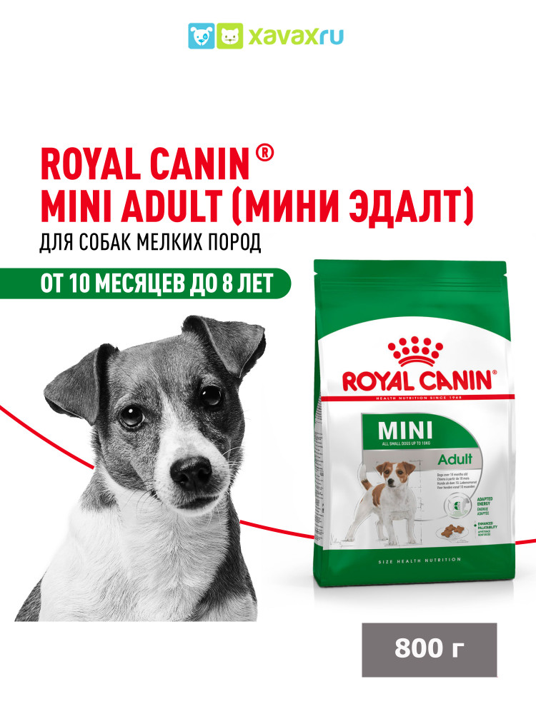 Сухой корм Royal Canin Mini Adult для взрослых собак мелких размеров от 10 месяцев